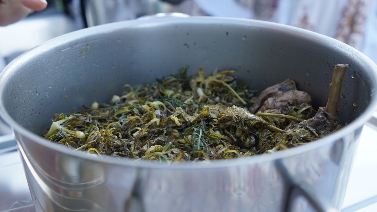 Stamnagathi w kreteńskiej potrawce z królika