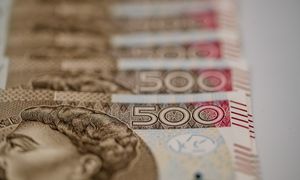 Ponad 6,5 tys. zł na rękę po pierwszym miesiącu. "Niesłabnące zainteresowanie"