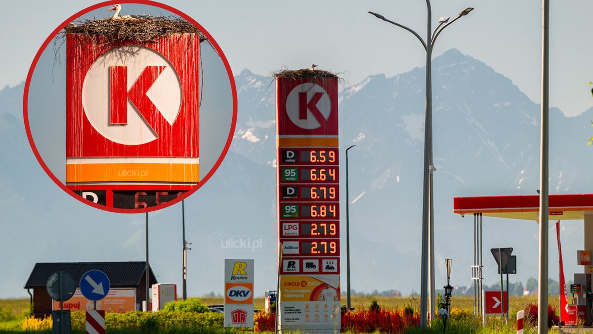 Zdjęcie bocianiego gniazda to reklama? Mamy odpowiedź stacji