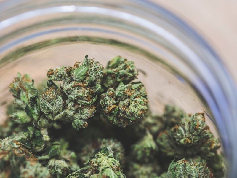 medyczna marihuana