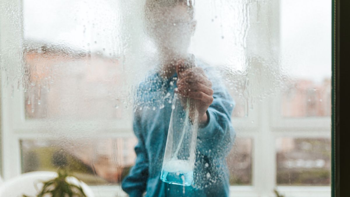 Jak walczyć z pająkami?