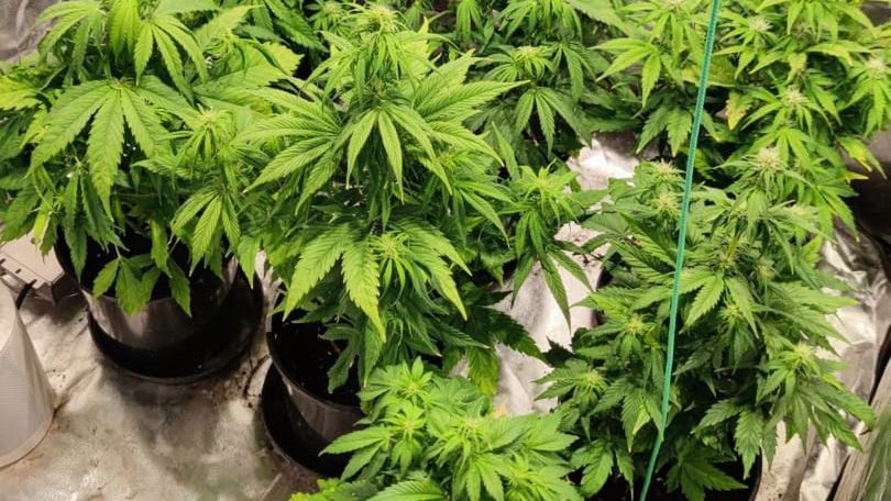 Tarnowskie Góry. 32-latek w garażu zorganizował.