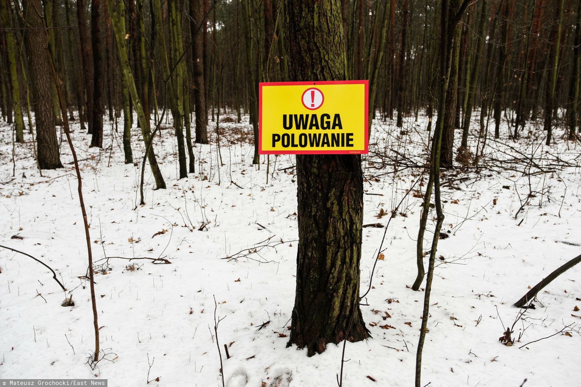 wiadomości,aktualności,WP Wiadomości Jest podejrzany o zabójstwo. Wyszedł na święta z aresztu