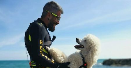 Psia drużyna powiększona. Dbają o wypoczywających na plażach