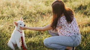 Śmieszny filmik z psem lub kotem? To, co wygląda zabawnie, może oznaczać stres