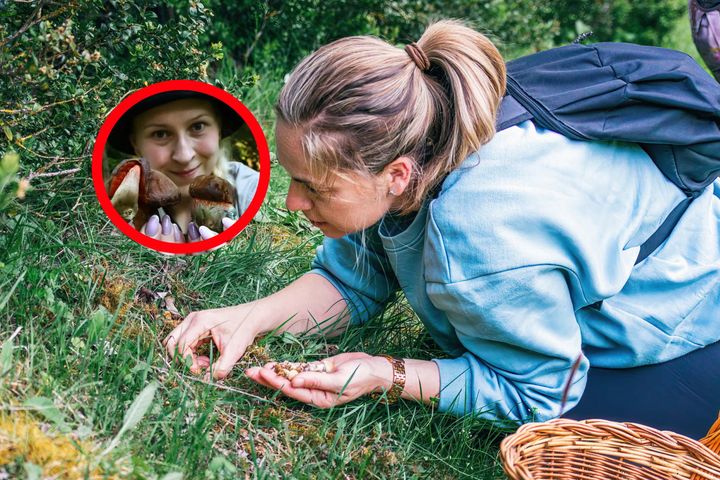 Wskazuje najgorsze błędy grzybiarzy. Mogą kosztować zdrowie, a nawet życie