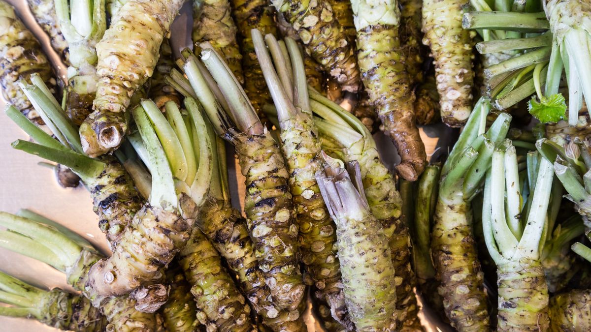 Jakie właściwości ma wasabi?