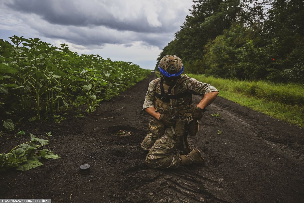 Żołnierz ukraiński prowadzi prace związane z usuwaniem min na polu w Doniecku