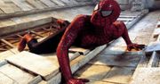 Film o "człowieku pająku" powróci na ekrany kin? Reżyser odniósł się do sytuacji