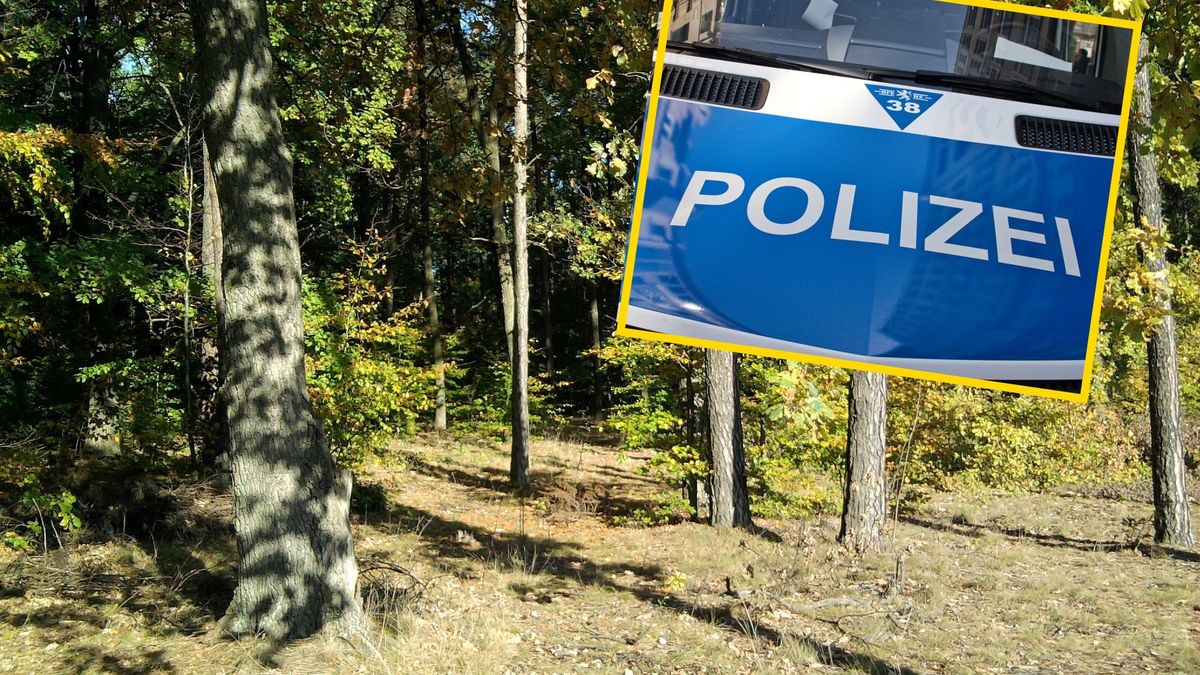 Randka w lesie skończyła się dramatem 51-latka 