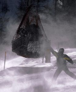 Tragiczna lawina w Piemoncie. Trzy ofiary śmiertelne