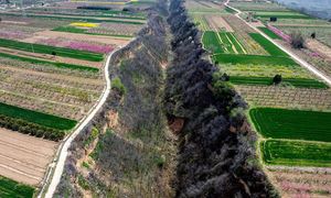 Gigantyczna szczelina w ziemi ma 10 km. Wiadomo, skąd się wzięła