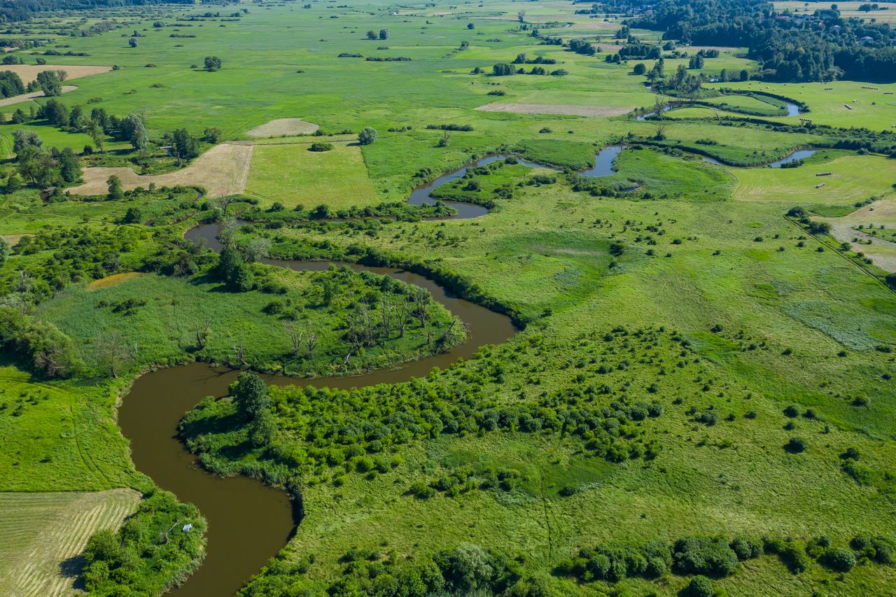 Natura potrafi zachwycić. To miejsce nazywają polską Toskanią