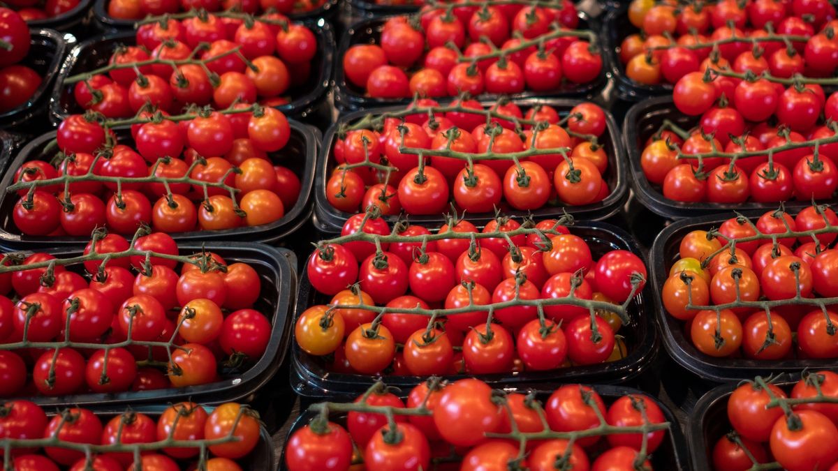 Ripe cherry tomatoes on the vine
Beautiful ripe cherry tomatoes on display at a farmer's market
Brian Eden