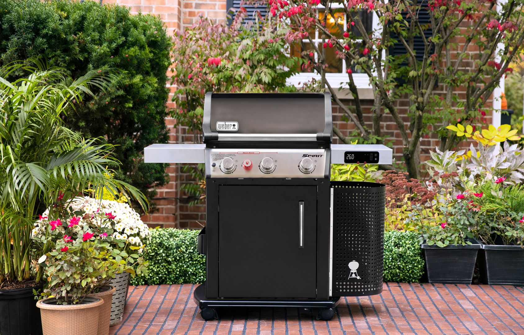 grill