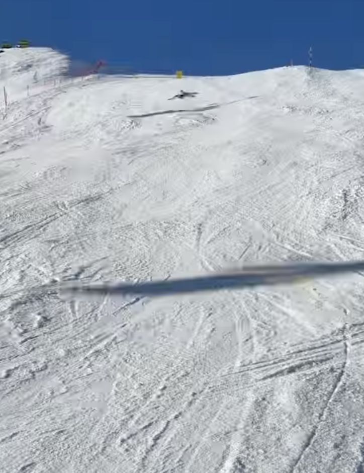 Roxie zaliczyła upadek na nartach