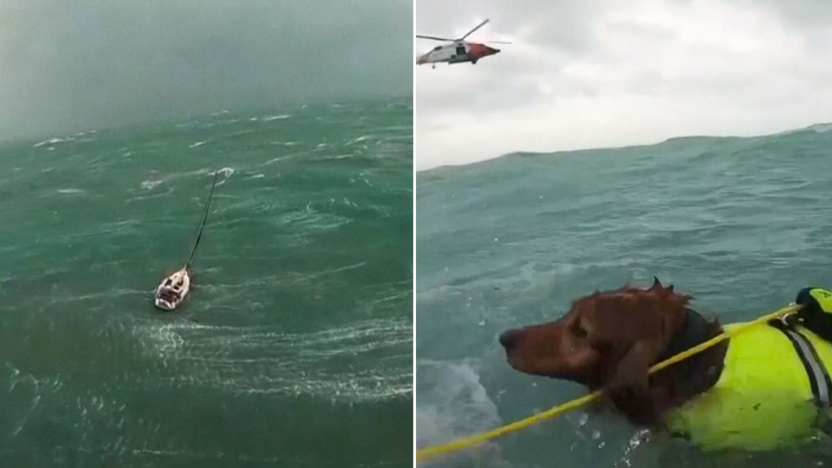 akcja ratunkowa, usa, ocean, sztorm, huragan Utknął z psem na ocenie podczas sztormu. Moment akcji ratunkowej