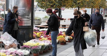 Skup chryzantem. ARiMR usuwa komunikat ze strony