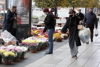 Skup chryzantem. ARiMR usuwa komunikat ze strony