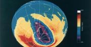 Winny jest ozon. Zmiany klimatyczne nieustannie postępują