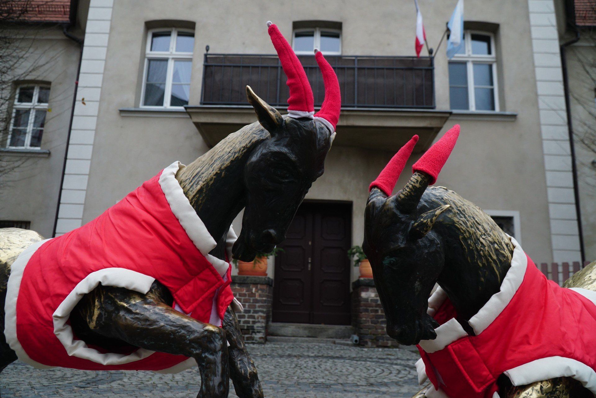 Rzeźba poznańskich koziołków została ubrana