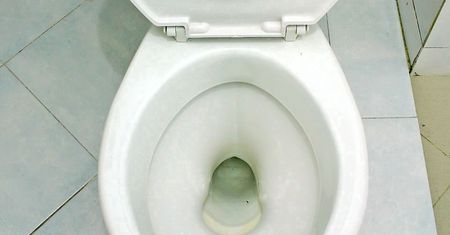 Wieczorem wlej do muszli. Do rana "wyżre" cały kamień i brud