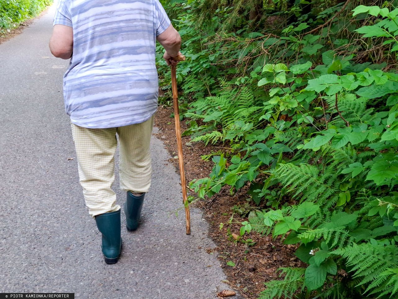 Dłuższe życie Polaków. To oznacza niższe emerytury. Kluczowe dane GUS