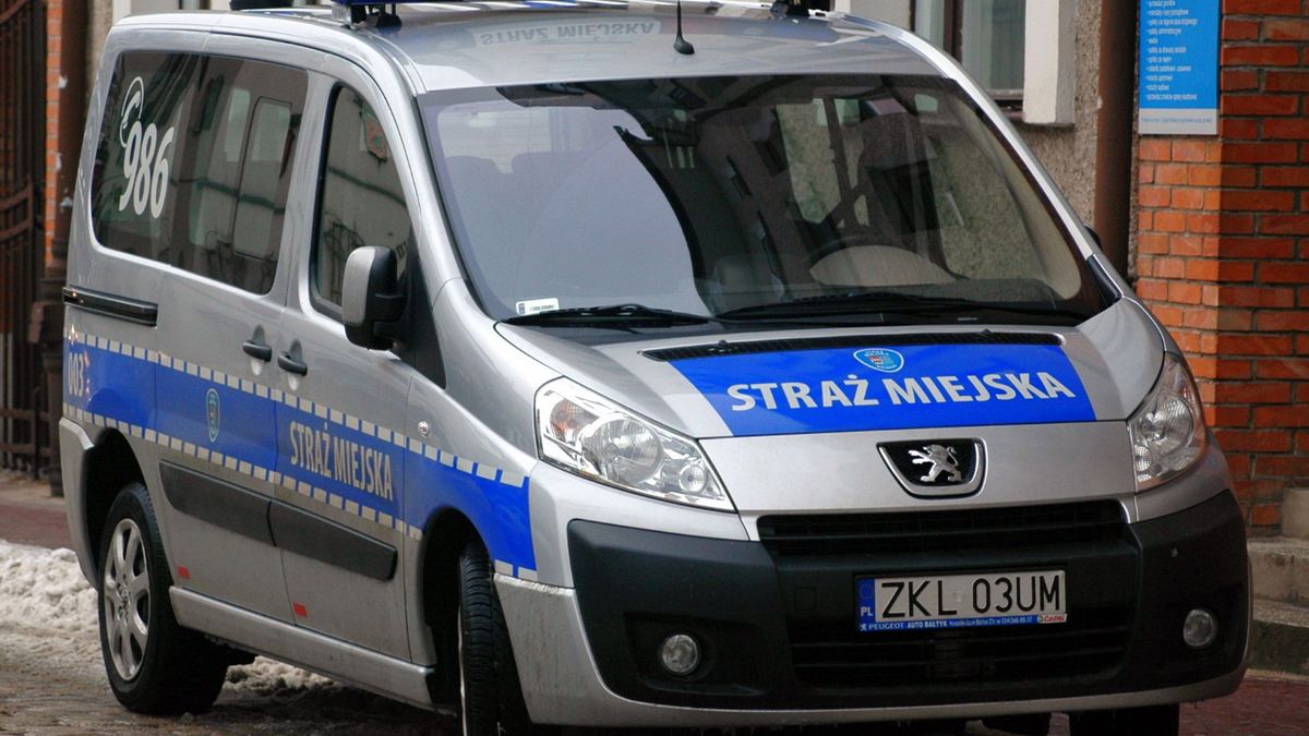 Straż miejska czy drogowa? – raport MSW 1