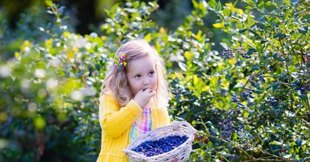 Sierpniowe polskie superfoods, czyli co warto jeść o tej porze roku?