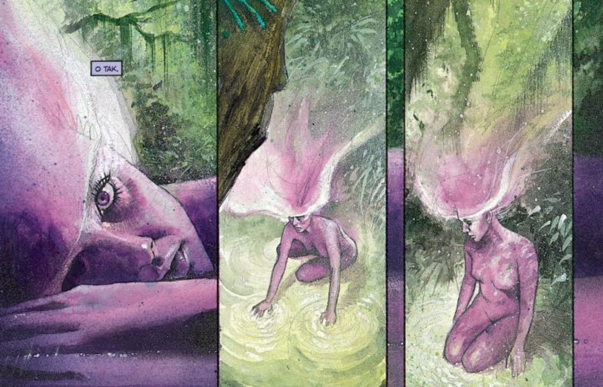 "Czarna Orchidea", scen. Neil Gaiman, rys. Dave McKean