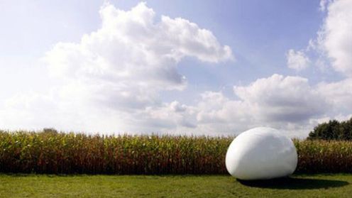 Dom, w którym poczujesz się jak pisklę 1