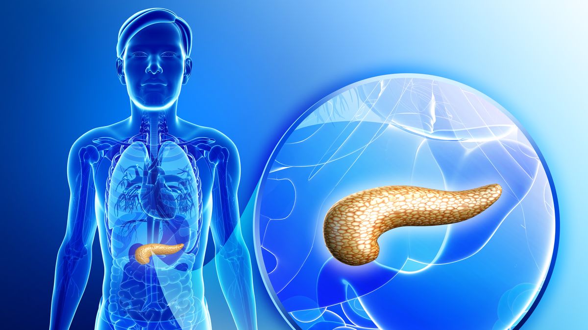 Pacjenci z cukrzycą testują sztuczną trzustkę