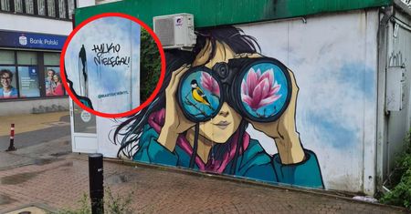 Wystarczyło kilka godzin. Ujęcia z Wołomina. "Brak słów"
