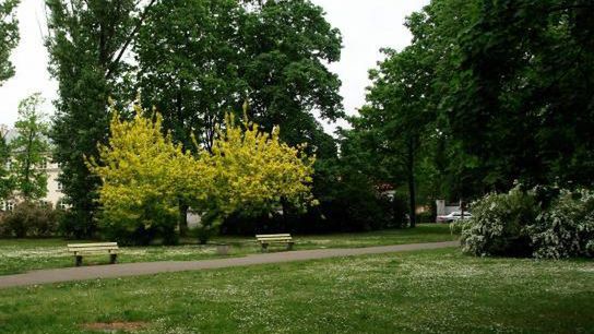 Warszawa. Trwa spór o zabudowanie Parku Praskiego