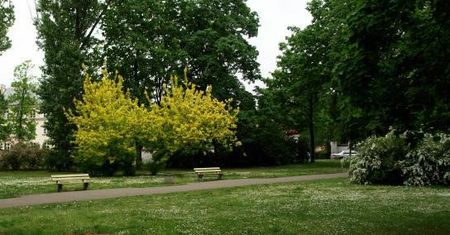 Warszawa. W Parku Praskim powstanie dom kultury? Sprzeciw aktywistów