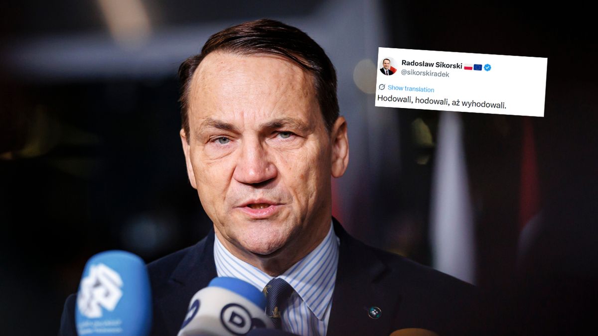  Partia Brauna wyprzedziła Konfederację. Wymowny wpis Sikorskiego