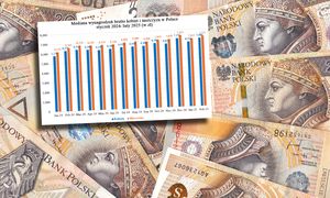 Ciekawe dane o zarobkach Polaków. Spora różnica w zależności od płci