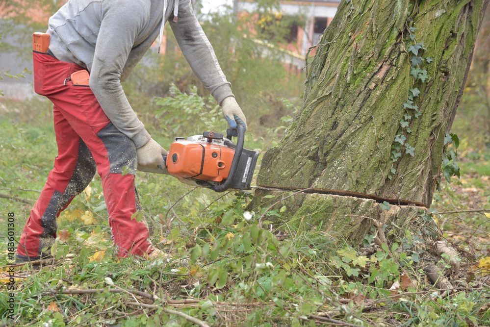 Od wycinki chaszczy, krzaków, drzew z pobocza rozpoczęła się przebudowa ulicy Idalińskiej w Radomiu