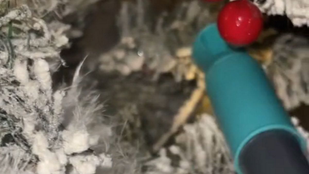 Autorka nie wierzyła własnym oczom