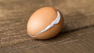 Wrzuć dwa plasterki. Skorupka ześlizgnie się z jajek