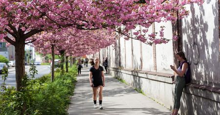 Marzec kolejnym rekordowo gorącym miesiącem. Czy zmiana klimatu przyspiesza?