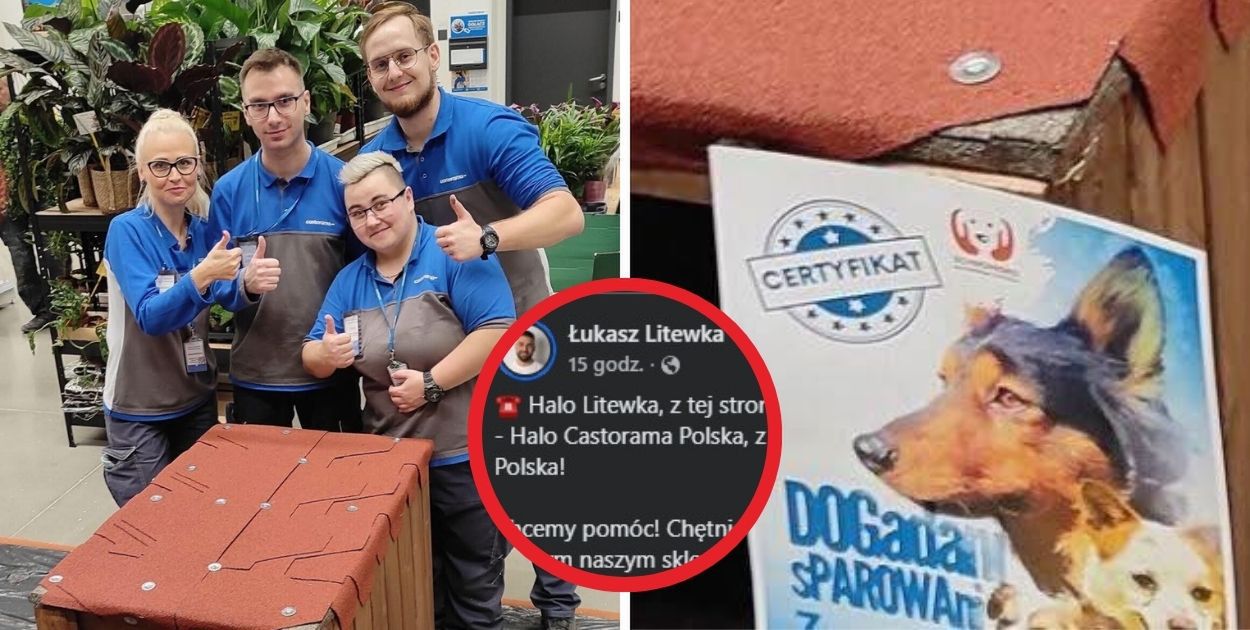 Łukasz Litewka i Castorama Polska łączą siły dla zwierząt. Pomoc, która niesie się po całym kraju!