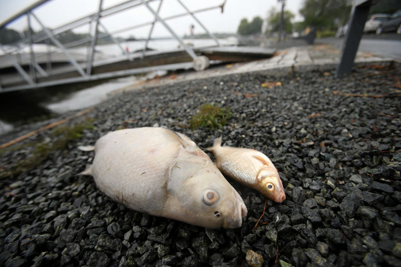 Zasolenie Odry. Firmy ostrzegają: zaostrzenie norm może uniemożliwić działalność dużych zakładów