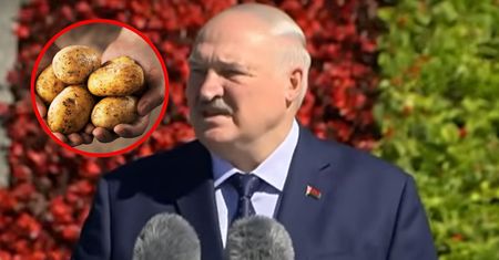 Białoruś, ziemniaki i władza totalna. Jak Łukaszenka próbuje rozwiązać kryzys?