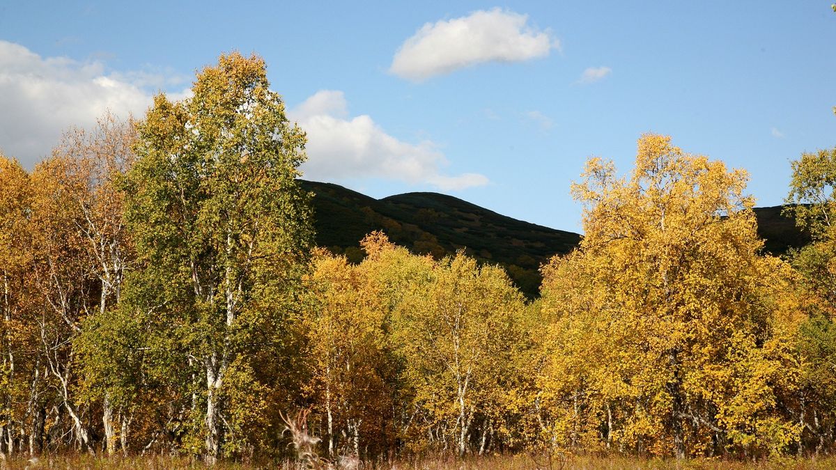 Pogoda. W najbliższych dniach nie zabraknie słońca