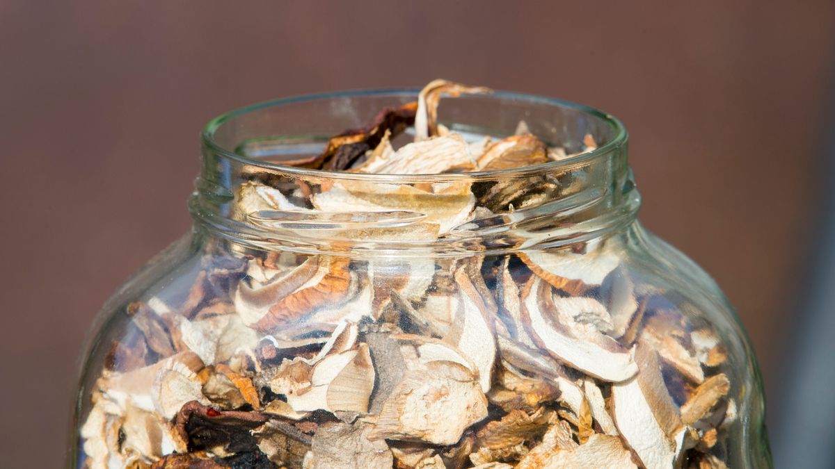 Zatrucie grzybami może być śmiertelne. Nie przegap objawów