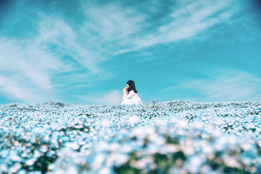 Ogród pełny niebieskich kwiatów to prawdziwy skarb Japonii