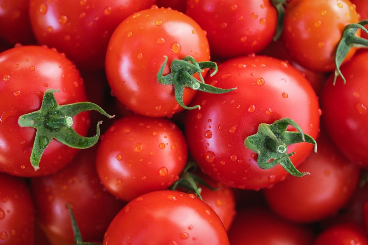W pomidorach wykryto pozostałości pestycydów zakazanych w Polsce