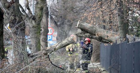 Pogoda. Front burzowy przemieszcza się nad Polską - IMGW wydał komunikat