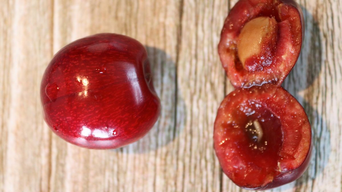 Co się stanie, gdy zjesz robaczywe czereśnie? Wyjaśniamy